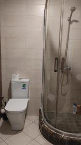 a bathroom with a shower with a toilet and a shower at Cozy Studio in Casablanca , 1 km from Casavoyageurs station , Free parking in Casablanca +17 photos
