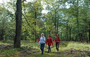 Hosté ubytování Landgoed Ehzerwold + 32 fotografií