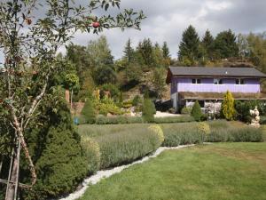 a garden with a house in the background at Gîte calme avec jardin zen, piscine et randonnée au Parc des Vosges - FR-1-589-763 in Cornimont