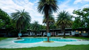 a pool with palm trees in front of a building at Sakthi River Resort in Pollāchi