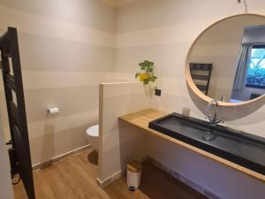 a bathroom with a sink and a mirror at Chambre d'hôtes pour 2 pers. avec petit-déjeuner inclus - FR-1-590-506 in La Ferté-Saint-Aubin +8 photos
