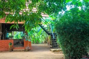 Κήπος έξω από το Rastha Elephant Sigiriya