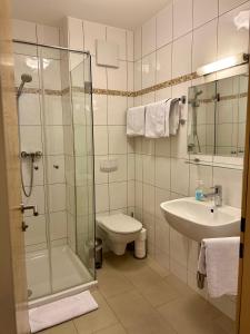 a bathroom with a shower and a toilet and a sink at Ferienwohnung Gabriel in Rust +16 photos