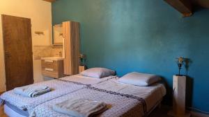 ヴァルイーズにあるGrand appartement individuelの青い壁の部屋にベッドが2つある