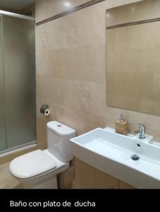 a bathroom with a toilet and a sink and a mirror at Apartamento cerca de Barcelona in Viladecáns