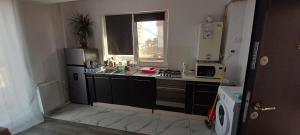 a small kitchen with a sink and a microwave at Twins Residence 2 APART HOTEL AP 2 2 rooms in Chiajna