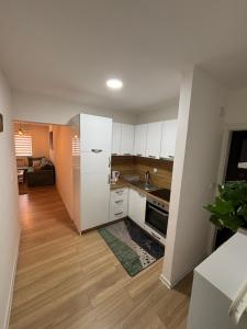 Kuchyň nebo kuchyňský kout v ubytování Apartman Mint