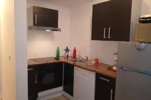 a kitchen with a sink and a refrigerator at Grand T4 Terrasse proche sanctuaire in Lourdes