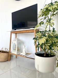 a living room with a tv and a potted plant at Villa Thea in Makri