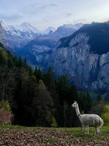 Paisagem natural perto do bed and breakfast