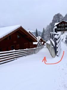Bed & Breakfast in car-free Wengen - Hop in Nest BnB durante o inverno