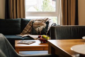 Posezení v ubytování Kühtai Alpensuites