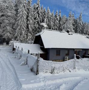 Apartmán U Vachtů v zimě + 11 fotografií