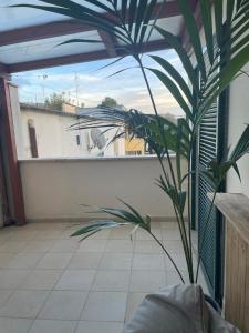 a plant sitting on a balcony with a window at Little House Green Relax in Civitavecchia