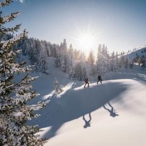 Ferienwohnung Resi mit traumhaftem Seepanorama v zime