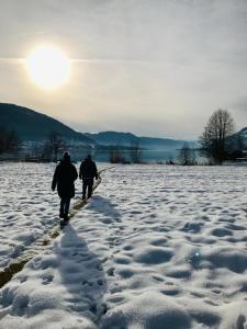 Príroda v okolí apartmánu