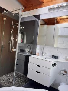 Koupelna v ubytování Penthouse Sonnenplatzl