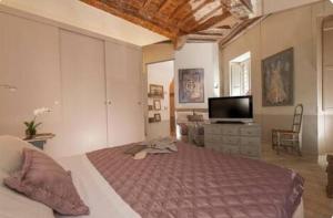 una camera da letto con un letto grande e una televisione di Sophisticated apt near Navona square a Roma