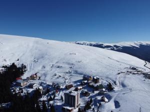 Cabana СUNTU v zimě