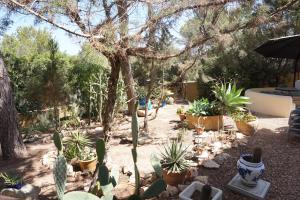 A garden outside Casa la Paloma