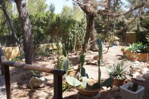 A garden outside Casa la Paloma