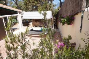 A garden outside Casa la Paloma