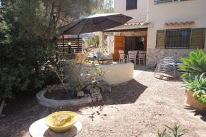 A garden outside Casa la Paloma