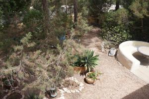 A garden outside Casa la Paloma