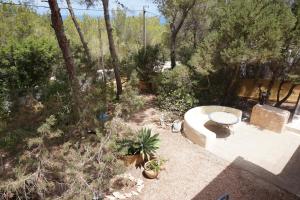 A garden outside Casa la Paloma