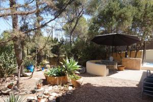 A garden outside Casa la Paloma