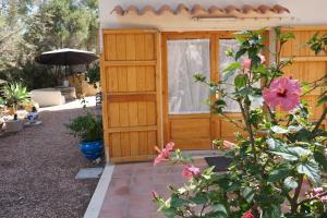 A garden outside Casa la Paloma