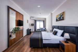 Μια τηλεόραση ή/και κέντρο ψυχαγωγίας στο sh hotel business +13 φωτογραφίες