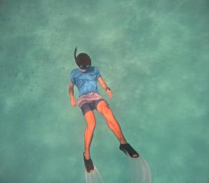 a drawing of a person in the air on a surfboard at Gaskara Guesthouse in Shaviyani Atoll
