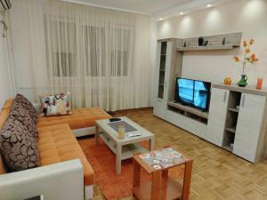 a living room with a couch and a television at Star Apartment Belgrade 1 in Belgrade