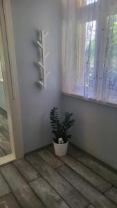 Gallery image of Falusi ház Tóth György in Bajša