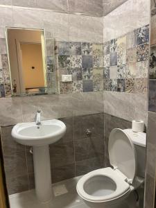 a bathroom with a toilet and a sink at Tota house in dahab in Dahab