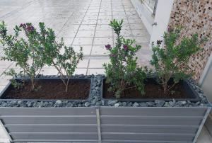 three plants in a planter on a patio at SWEET APPARTMENT in Patra