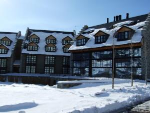 塞尔勒HG塞尔勒酒店的一座大建筑,屋顶上积雪