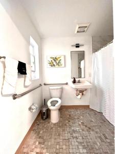 a bathroom with a toilet and a sink at Stylish 1q Unit With Pool 11 Handicap Access in Clearwater +12 photos