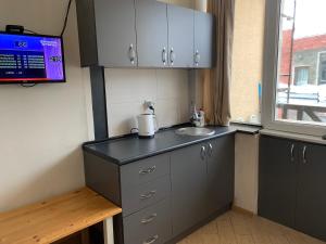 Kuchyň nebo kuchyňský kout v ubytování Ski Lift Apartment