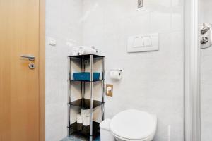 a bathroom with a white toilet and a shower at Malsethhof in Villandro +23 photos