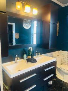 a bathroom with a sink and a mirror and a toilet at SteamShower Flagstaff Chic Studio in Flagstaff +10 photos