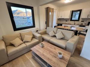 Η κουζίνα ή μικρή κουζίνα στο Villa Harry Arachova