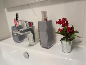 un lavandino con rubinetto e un vaso di fiori rossi di Viva apartment in condominium a Voždivac