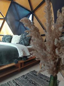 Una habitación con una cama en una tienda de cristal. en Chic Boheme Camp, en Merzouga