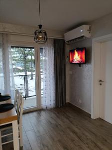 Телевізор і / або розважальний центр в Apartman Maksimović Divčibare