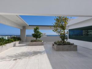 a building with three potted trees on top of it at Style and Confort Apart Villa Palmera in Santo Domingo