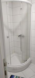a shower with a glass door in a bathroom at Apartmani METRO in Loznica +103 photos