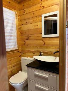 a bathroom with a white toilet and a sink at Quinta do Pinheiro in Ourém +37 photos