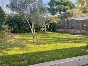 Foto dalla galleria di Maison avec SPA et PISCINE 2 chambres ad Ajaccio Altre 24 foto